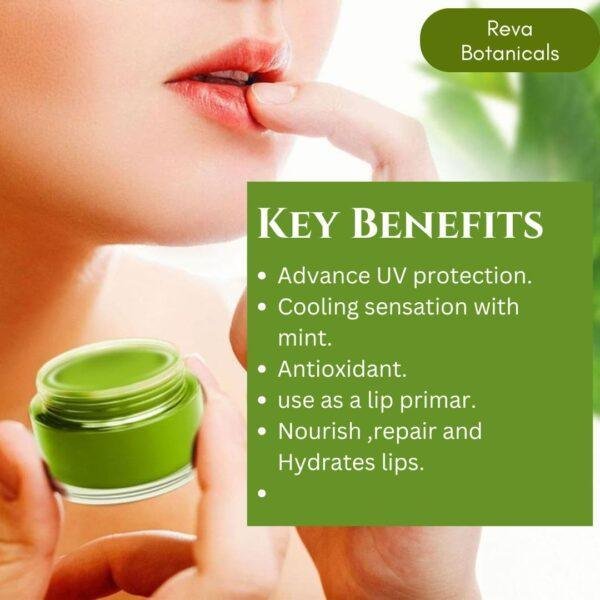 Mint lip balm - Image 3