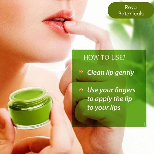 Mint lip balm - Image 4